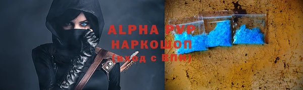 мяу мяу мука Аркадак